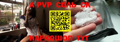 дмт Майкоп
