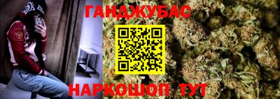 дмт Майкоп
