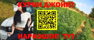 дмт Майкоп