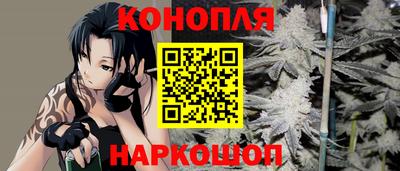 дмт Майкоп
