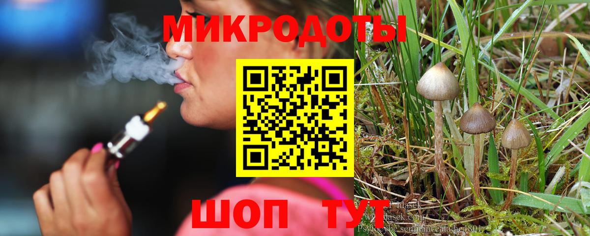 закладка  Вход с VPN  Артёмовский  Галлюциногенные грибы Cubensis 
