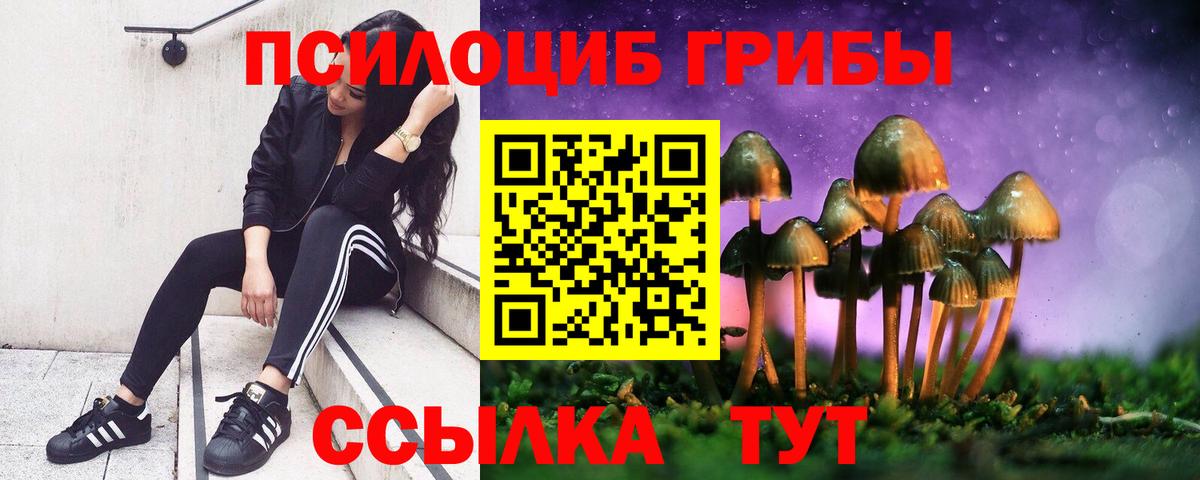 Галлюциногенные грибы ЛСД Артёмовский